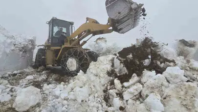 Haziran ayında Rize'de şaşırtan manzara: Yayla yollarında kar mesaisi