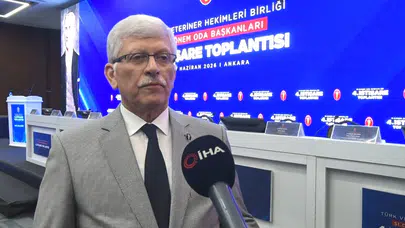 Veteriner hekimlerin isyanı: "Görmezden gelinen her sorun, toplum sağlığına vurulan bir darbedir"