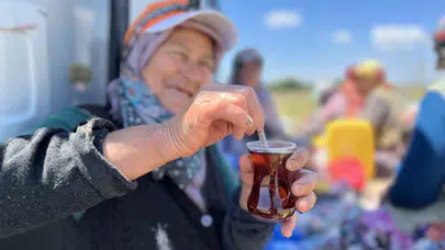 Güneşin altında ter döküyorlar: Karacabey tarlalarında odun ateşinde demlenen 'yorgunluk çayı'
