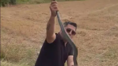 Yılancı Kemal'in zor anları: Kümese giren dev yılanı yakalarken parmağını kaptırdı