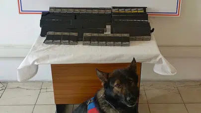 Diyadin’de tırın yemek bölümüne gizlenmişti: Dedektör köpek geçit vermedi