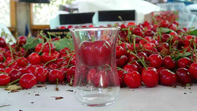 Çay bardağına sığmayan lezzet: Lapseki’nin dev kirazları tezgahlara indi