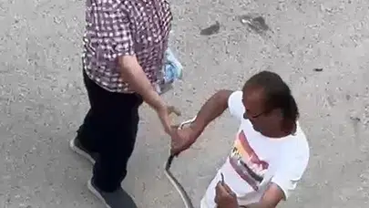 Evde korku dolu anlar: Yılanı bir hamlede etkisiz hale getirdi