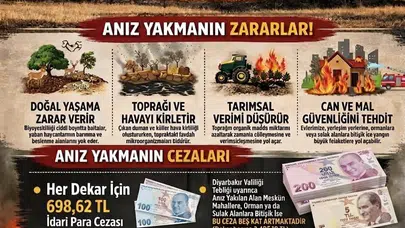 Topraklar küle dönmesin: Diyarbakır'da anız yakanları ağır fatura bekliyor