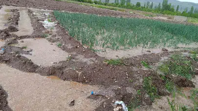 Malatya’da doğa kabusu: Çiftçinin emeği bir anda sular altında kaldı