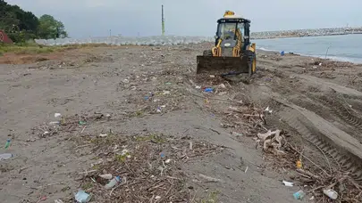 Melen’in getirdiği ağaçlar kumsalı kapladı: Akçakoca’da hummalı temizlik mesaisi