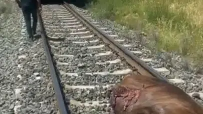 Raylarda korkutan kaza: Tren seferlerinde kısa süreli duraksama yaşandı