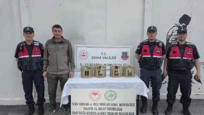 Kafes hayatından özgürlüğe: Usulsüz avlanan keklikler yeniden gökyüzüyle buluştu