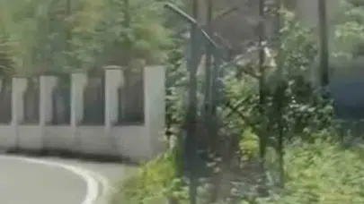 Sarp kayalıkların minik misafiri şaşırttı: Trabzon’da alışılmadık görüntü