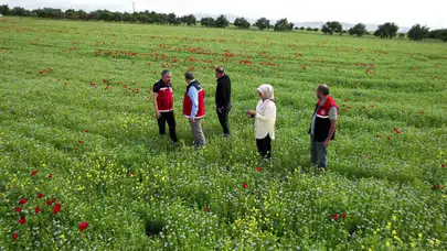 Tarlada yeni dönem: Kuraklığa meydan okuyan 'siyah altın' çiftçinin yüzünü güldürdü