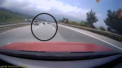 Otoyolda can pazarı: Tırdan kaçan angus trafiği birbirine kattı