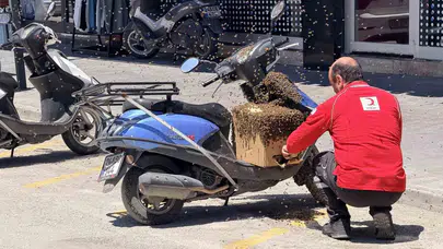 Erzincan'da hareketli dakikalar: Motosikleti mesken tutan arı ordusu trafiği kilitledi