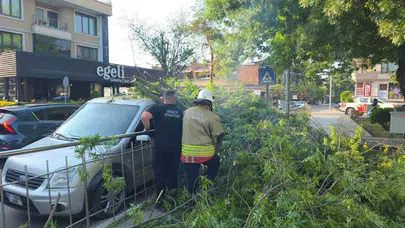 Düzce’de şaşkına çeviren olay: Ağaç altında kalan araca bir de ceza şoku