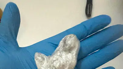 Ünlü isimlerin adreslerine şafak baskını: Operasyonun detayları ortaya çıktı