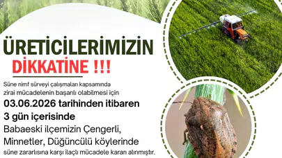 Hasat dönemi öncesi kritik uyarı: Kırklareli’nde süne alarmı verildi