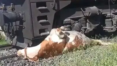 Elazığ’da tren raylarında can pazarı: Saniyelerle yarışıp hayat kurtardılar