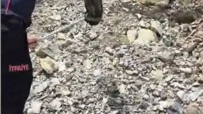 Evdeki davetsiz misafir paniğe neden oldu: İtfaiye ekipleri santim santim aradı