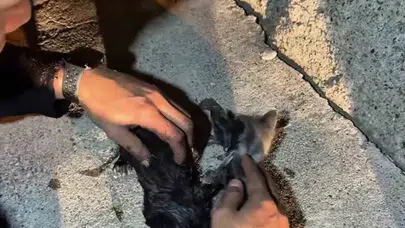 Alevlerin arasından gelen minik sesler kahraman itfaiyecileri harekete geçirdi: 3 can kurtarıldı
