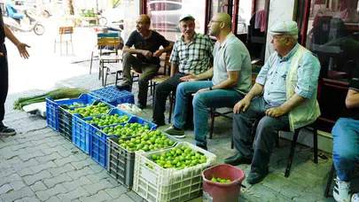 Aydın’da incir bereketi ilek pazarında başladı: Fiyatlar borsa gibi hareketli