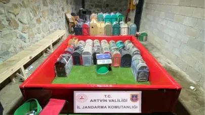Horoz dövüşü operasyonunda suçüstü: Yarım milyonluk ceza faturası kesildi