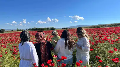 Doğa Elazığ’da fırçasını konuşturdu: Kırmızıya boyanan tarlalar ziyaretçi akınına uğradı