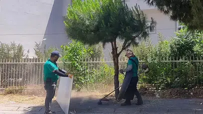 Efeler’de yeşil seferberlik: Başkan Yetişkin’den daha estetik ve güvenli mahalleler sözü