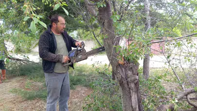 Emirdağ’ın yeşil dönüşümü: Muhtar Ali Ün köyünü ormana çeviriyor