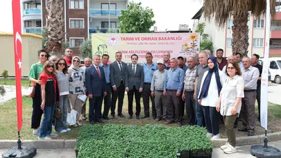 Aydın'ın bereketli topraklarında üretim seferberliği: Buharkentli çiftçinin yüzü domates fidesiyle güldü