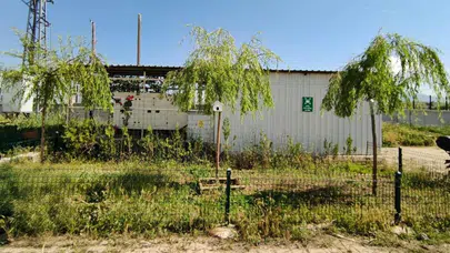 Doğanın sessiz sakinlerine el uzattılar: İmam hatipli gençlerden örnek dayanışma