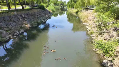 Manisa’nın yeni maskotları iş başında: Kent Park’ta sevimli istila