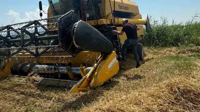 Hasat sezonunda Köşk seferberliği: Çiftçinin emeği tarlada kalmasın diye denetimler sıkılaştırıldı