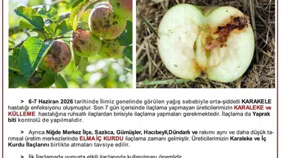 Niğde'de elma bahçeleri için kritik alarm: Hasadı korumak adına harekete geçin