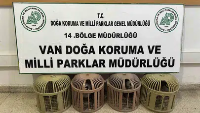 Doğanın sessiz çığlığına jandarma engeli: 4 keklik için ağır bedel