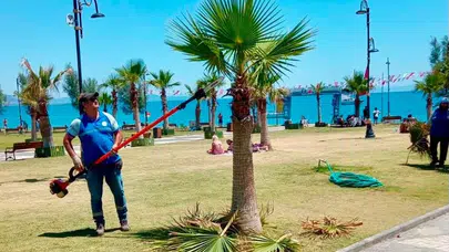 Didim’de yaşam kalitesi yükseliyor: Belediye ekipleri sahada seferberlik başlattı