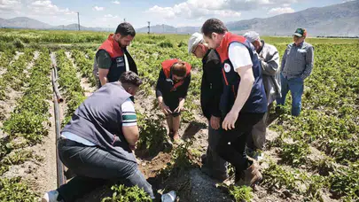 Dinar’da gökyüzünde kabus: Binbir emekle ekilen ürünlere dolu darbesi