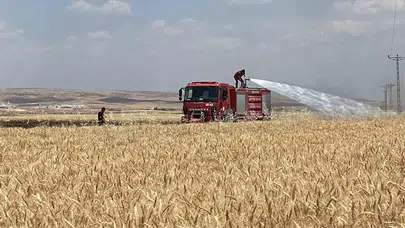 Mardin’de hasat mevsimi kabusa döndü: 300 dönümlük emek bir anda küle döndü