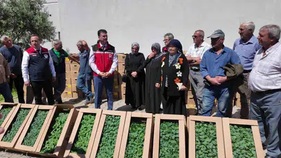 Tekirdağ’da toprak bereketleniyor: 407 çiftçiye dev fide desteği