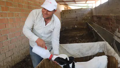 Altı aylık dünyaya geldi, hayata tutunması mucize oldu: Besici Gökay Aydın'ın "minik misafiri"