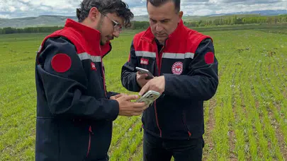 Tarlada dijital denetim dönemi: Aydıntepe’de ürünler uyduyla mercek altına alındı