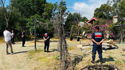 Kemer'de kaçak yapı operasyonu: Doğa talanına geçit yok