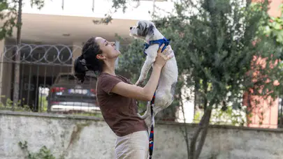 Mersin’de can dostlara sıcak yuva seferberliği: 2 bin 500 hayvan yeni ailesine kavuştu