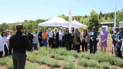 Bozkırın kaderi değişiyor: Kadın çiftçiler altın otuyla ekonomik güç kazanıyor