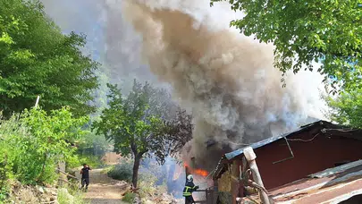 Kozan’da kabus dolu anlar: Yayla evinden başlayan alevler ormana yürüdü