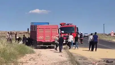 Viranşehir yolunda can pazarı: Otomobil ile kamyon çarpıştı, 3 genç hayatını kaybetti