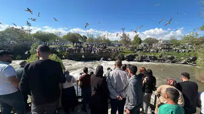 Van Gölü’nün gümüş kanatlıları: İnci kefallerinin zorlu yolculuğu başladı