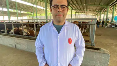 Baharın gelişiyle kene alarmı: 200'den fazla hastalığın taşıyıcısı olabilirler
