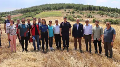 Yatağan’da bereketin adı hasat şenliği: Kaymakam İlhan üreticinin yanında