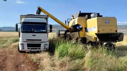 Gaziantep’in bereketli topraklarında sezon bereketi: İlk arpa hasadı yüzleri güldürdü