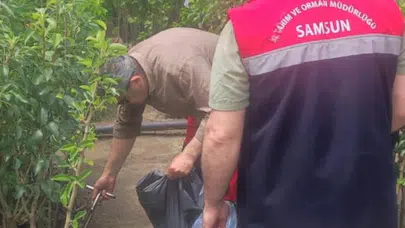 Samsun’da tarımsal ihracata sıkı takip: Fidancılık sektöründe denetim seferberliği
