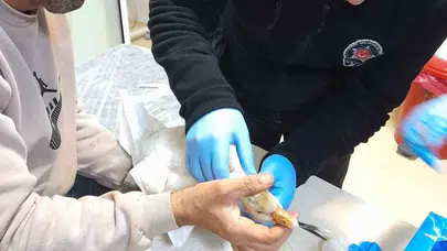 Hastanenin acil servisinde şaşırtan manzara: Yaralı yavru kazı güvenlik görevlisi hayata döndürdü